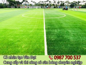 Hướng đẫn chọn cỏ nhân tạo sân bóng chuẩn FIFA và VFF
