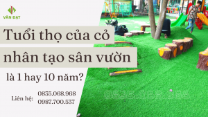 Tuổi thọ cỏ nhân tạo sân vườn là 1 hay 10 năm?