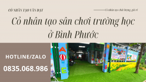 Cỏ nhân tạo sân chơi trường học ở Bình Phước