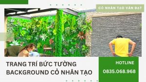 Trang trí bức tường background cỏ nhân tạo