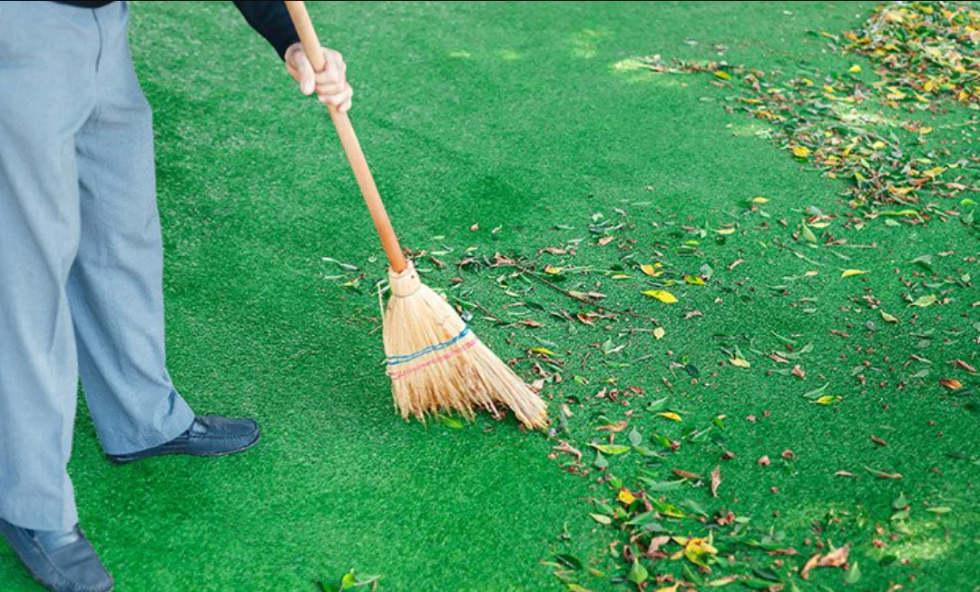 Quet la cay tren tham co nhan tao