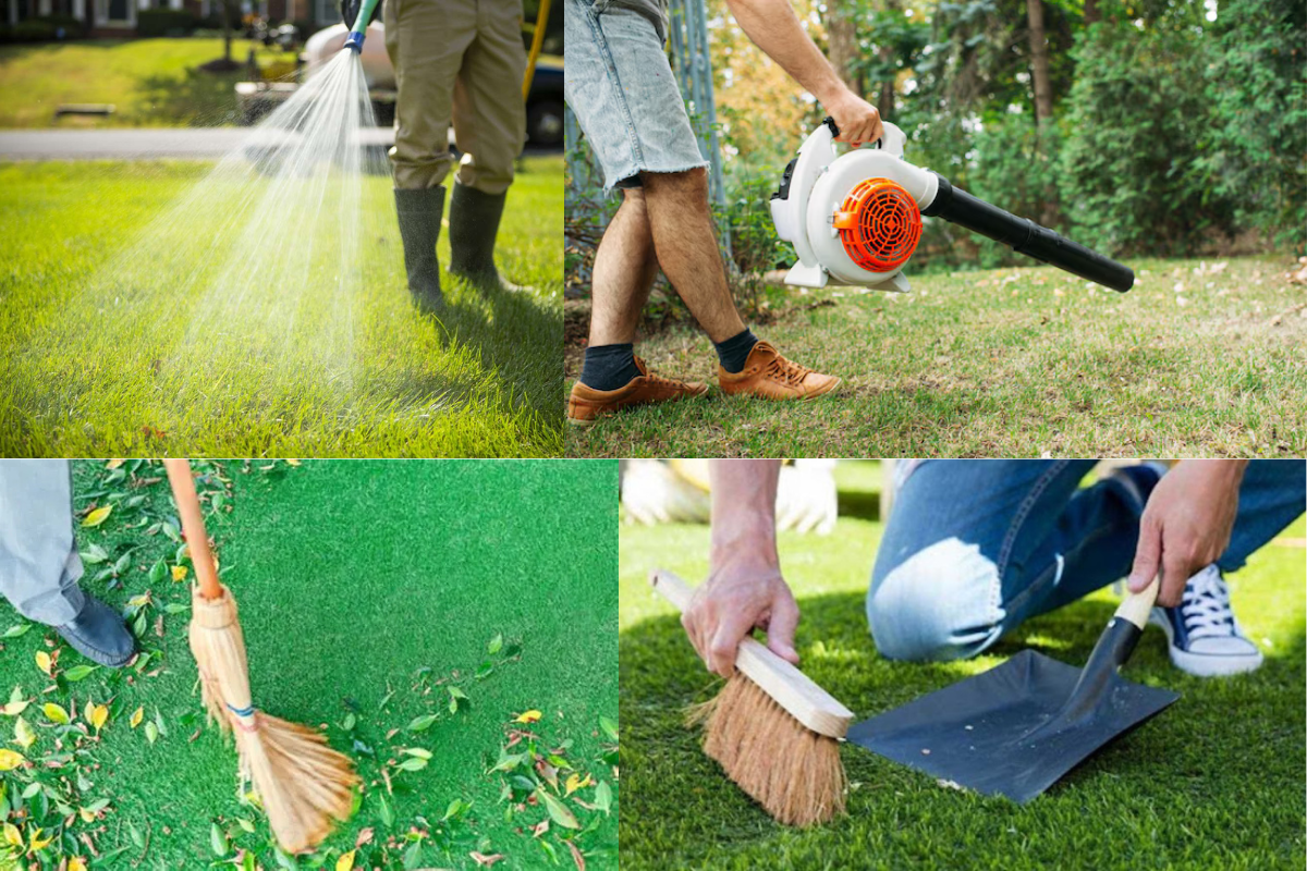 Các dụng cụ để vệ sinh thảm cỏ nhân tạo