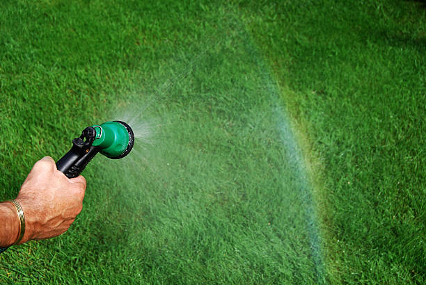 Vệ sinh thảm cỏ nhân tạo qua nước