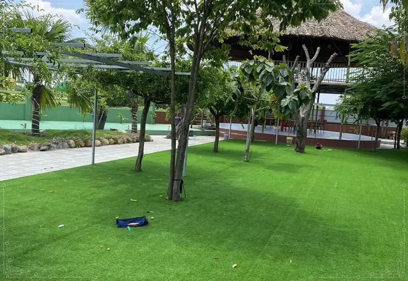 kinh-nghiem-mua-co-nhan-tao-san-vuon-3