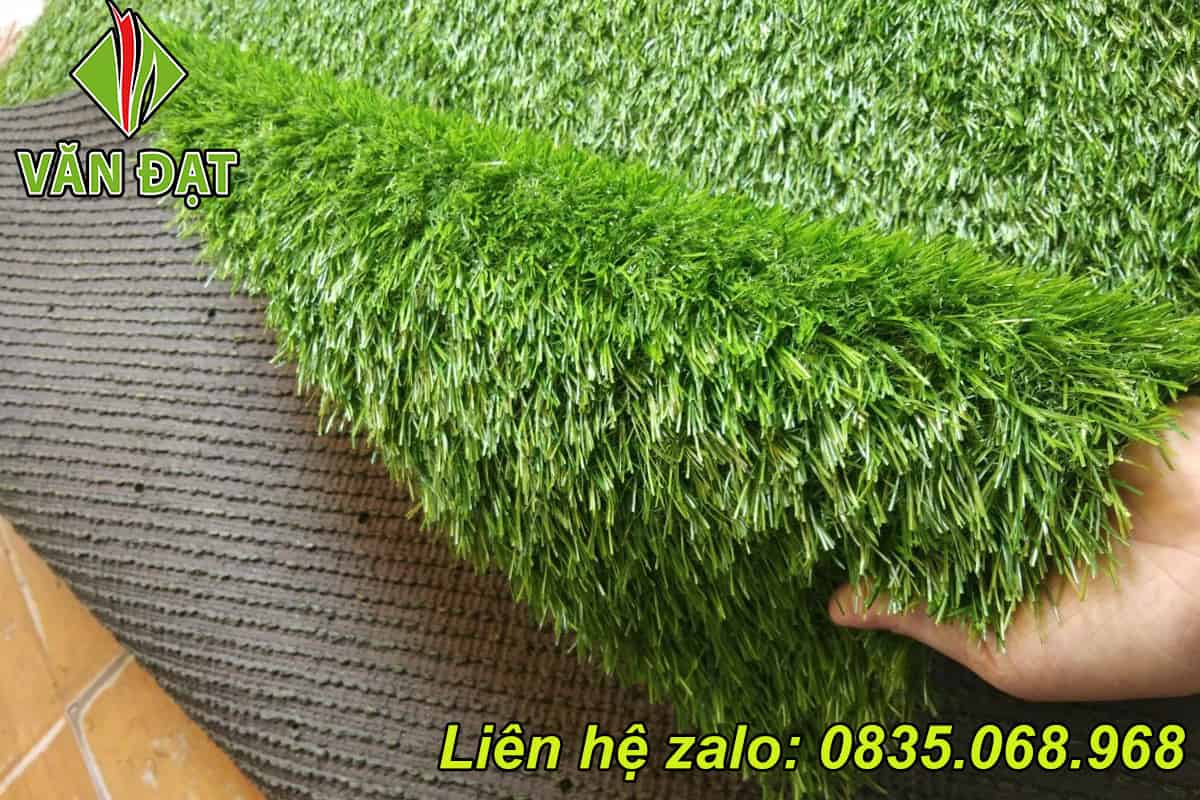 Cỏ nhân tạo 3cm