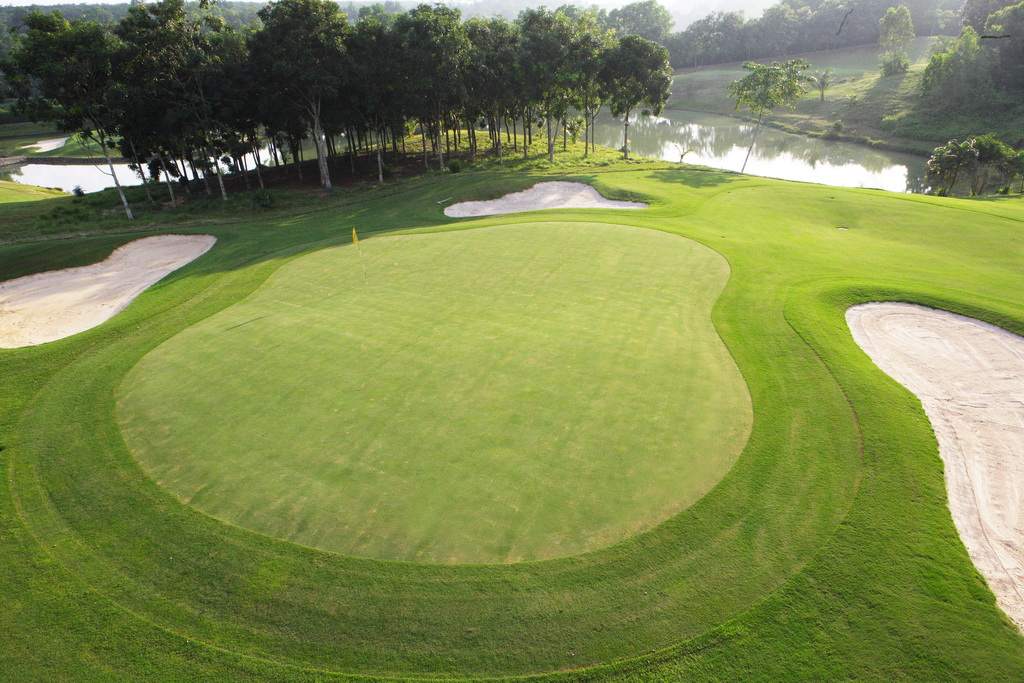 cỏ nhân tạo sân golf