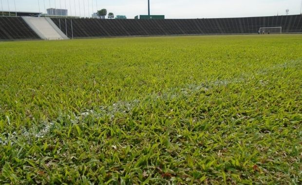 cỏ nhân tạo sân banh