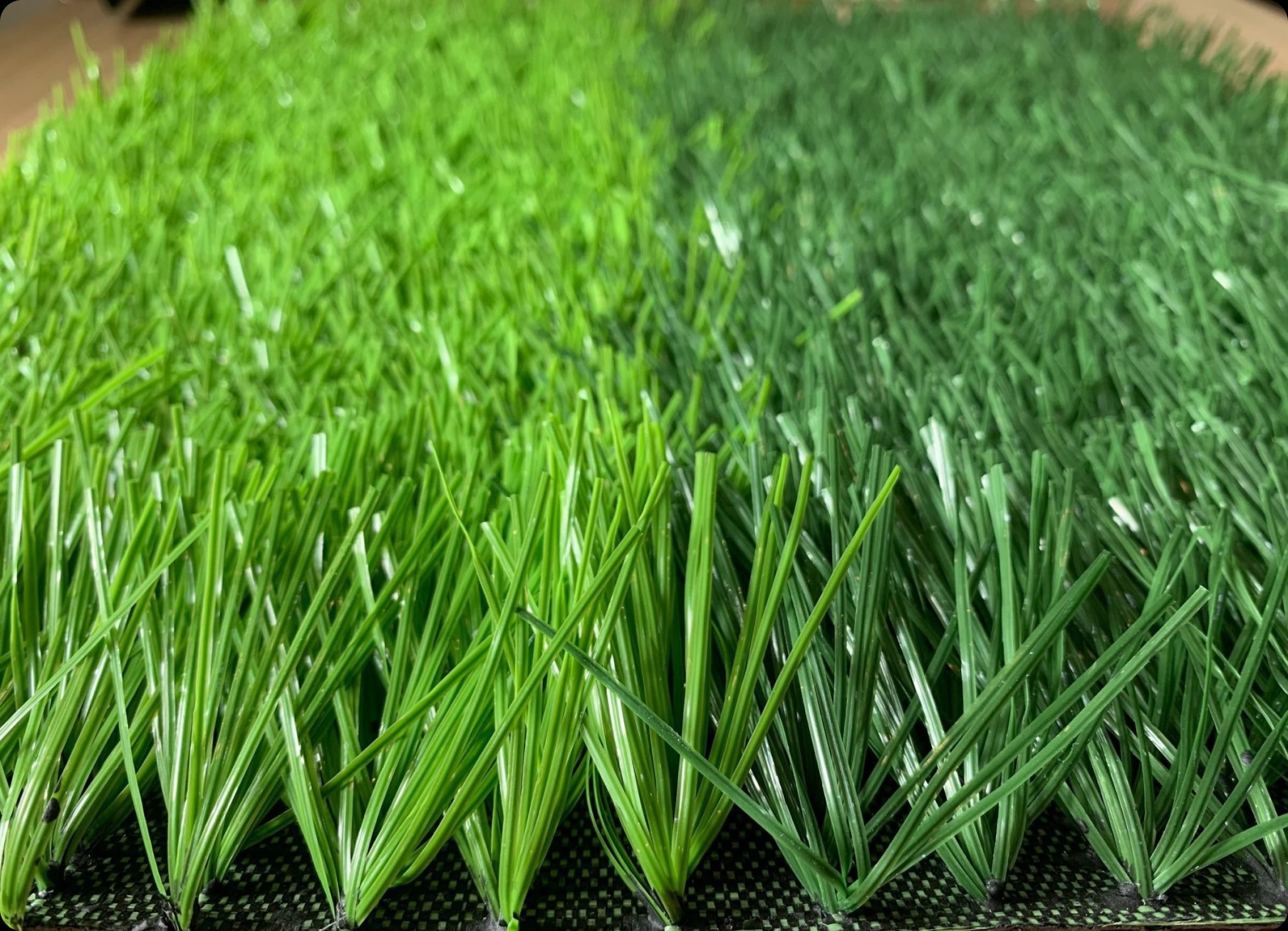 Cỏ nhân tạo sợi có gân