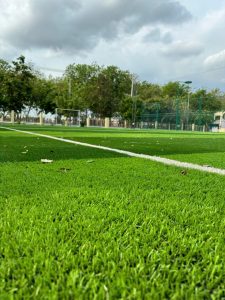 Bảo trì sân cỏ nhân tạo: Hướng dẫn chi tiết