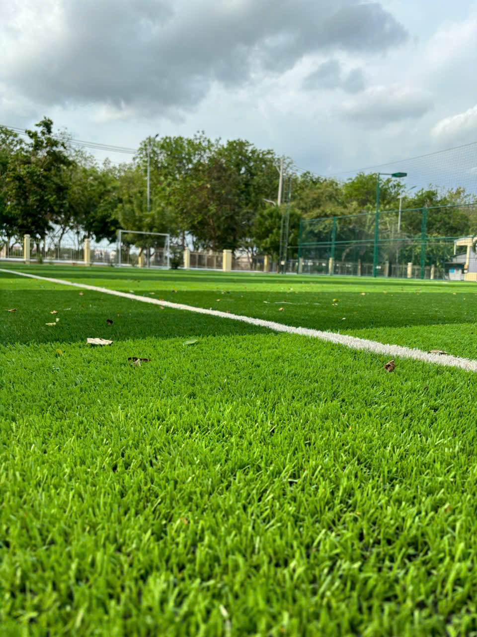 Bảo trì sân cỏ nhân tạo: Hướng dẫn chi tiết