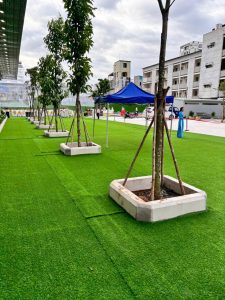 thay cỏ tự nhiên bằng cỏ nhân tạo