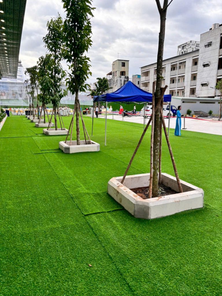 thay cỏ tự nhiên bằng cỏ nhân tạo